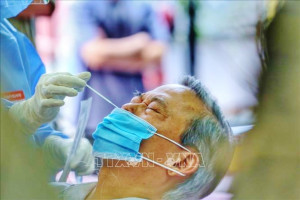 NGÀY 30.8: Việt Nam có 14.224 ca mắc mới COVID-19; có 228.816 người khỏi bệnh và 11.064 ca tử vong
