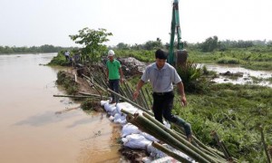 HẢI PHÒNG: vỡ 50m đê bao trong đợt mưa lũ lịch sử
