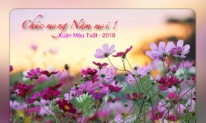 ALBUM: CHÀO XUÂN MẬU TUẤT 2018 - Ảnh: Ninh An, Hà Nội