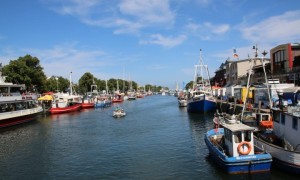 THÔNG BÁO KHẨN: NGÀY 5.8.2018 CÓ BIỂU TÌNH TẠI WARNEMÜNDE ROSTOCK BÀ CON KHÔNG NÊN RA TẮM...