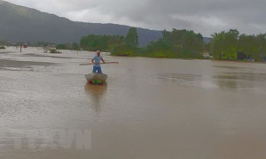 MƯA LŨ TẠI BÌNH ĐỊNH, LÀM 6 NGƯỜI CHẾT, HƠN 10.000 NGÔI NHÀ BỊ NGẬP 