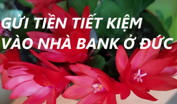 Ở ĐỨC CẦN BIẾT: HIỂU CÁCH GỬI TIỀN TIẾT KIỆM VÀO NHÀ BANK