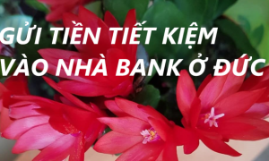 Ở ĐỨC CẦN BIẾT: HIỂU CÁCH GỬI TIỀN TIẾT KIỆM VÀO NHÀ BANK
