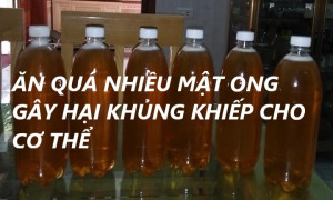 ĂN QUÁ NHIỀU MẬT ONG GÂY HẠI KHỦNG KHIẾP CHO CƠ THỂ