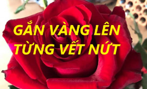 GẮN VÀNG LÊN TỪNG VẾT NỨT