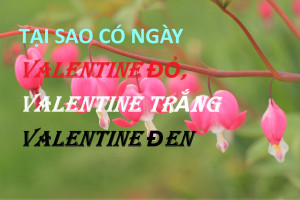 TẠI SAO CÓ NGÀY VALENTINE ĐỎ, VALENTINE TRẮNG & VALENTINE ĐEN