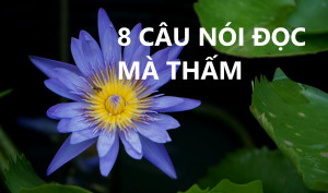 8 CÂU NÓI ĐỌC MÀ THẤM