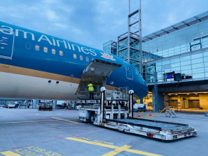 THÔNG BÁO CỦA HÃNG HÀNG KHÔNG VIETNAM AIRLINES: Điều chỉnh kế hoạch bay do đình công tại sân bay Frankfurt (CHLB Đức) 16/2 – 17/2/2023