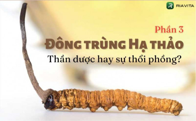 ĐÔNG TRÙNG HẠ THẢO TÂY TẠNG - Thần dược hay sự thổi phồng?