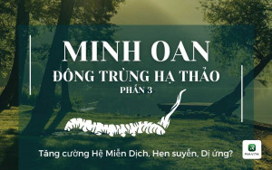 MINH OAN ĐÔNG TRÙNG HẠ THẢO (PHẦN 3) 