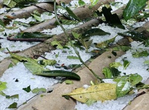 Mưa đá, dông lốc gây thiệt hại hàng trăm ngôi nhà tại Yên Bái