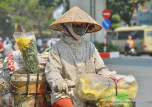 Chạm ngưỡng 44 độ C, Việt Nam ghi nhận kỷ lục về nắng nóng năm 2024