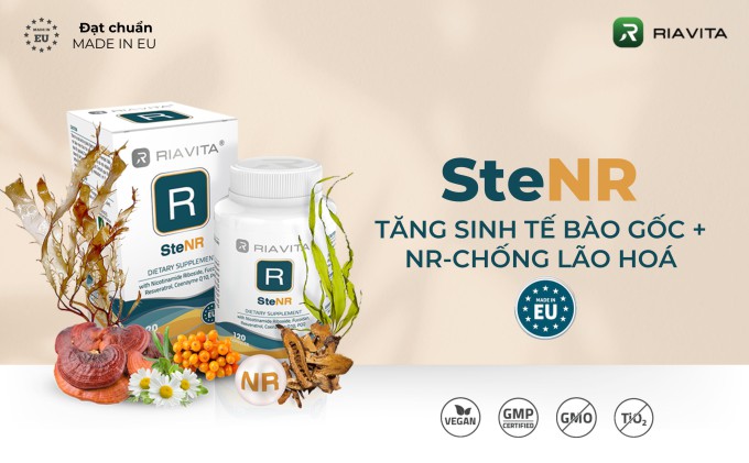 SteNR - Siêu Phẩm Mùa Hè 2024 của Riavita