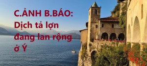 C.ẢNH B.BÁO: Dịch tả lợn đang lan rộng ở Ý