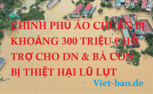 CHÍNH PHỦ ÁO CHUẨN BỊ KHOẢNG 300 TRIỆU € HỖ TRỢ CHO DN &amp; BÀ CON BỊ THIỆT HẠI LŨ LỤT