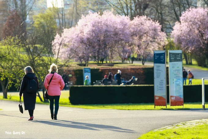 Hỏa hoạn tàn khốc ở Britzer Garten gây thiệt hại hàng triệu đô la