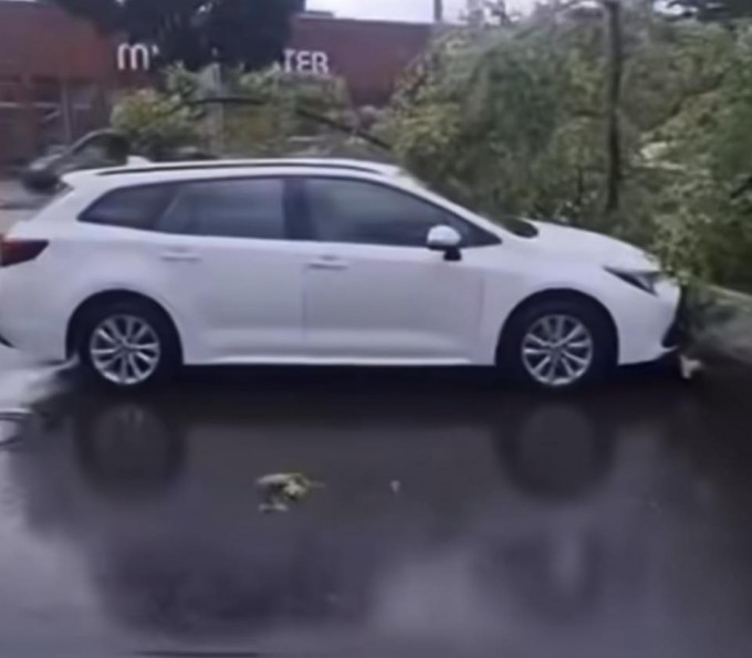 TIN NHANH VỀ CƠN BÃO ZIROS QUÉT QUA BERLIN 23.6: Ít nhất một người chết và 2 người nguy hiểm đến tính mạng