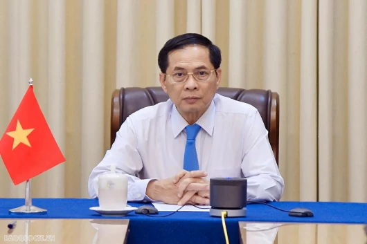 Phó Thủ tướng, Bộ trưởng Ngoại giao Bùi Thanh Sơn điện đàm với Ngoại trưởng Đức Johann Wadephul