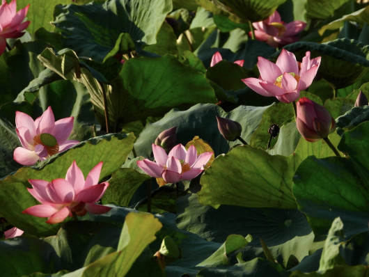 9 CHÂN LÝ CUỘC ĐỜI BẠN CẦN BIẾT