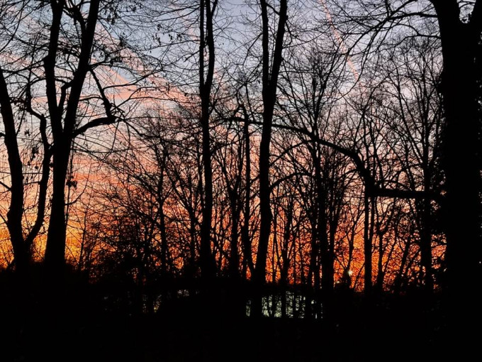 TIN S.ỐC VỀ THỜI TIẾT Ở ĐỨC 2.7: VÌ NHIỆT ĐỘ CAO; MỘT SỐ KHU RỪNG BỊ CHÁY