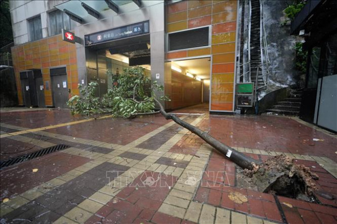 Bão Wipha &#039;càn quét&#039; Trung Quốc: Giao thông tê liệt, kinh tế thiệt hại nặng