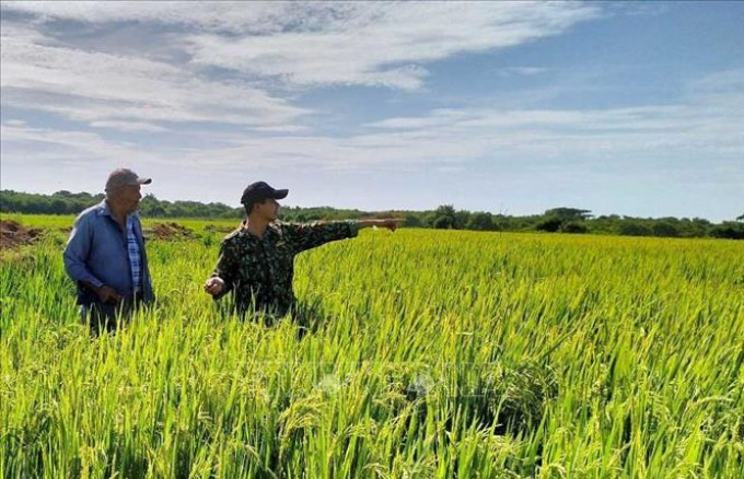 Kênh truyền hình Đức đưa tin về 'mùa vàng' hợp tác nông nghiệp Việt Nam - Cuba