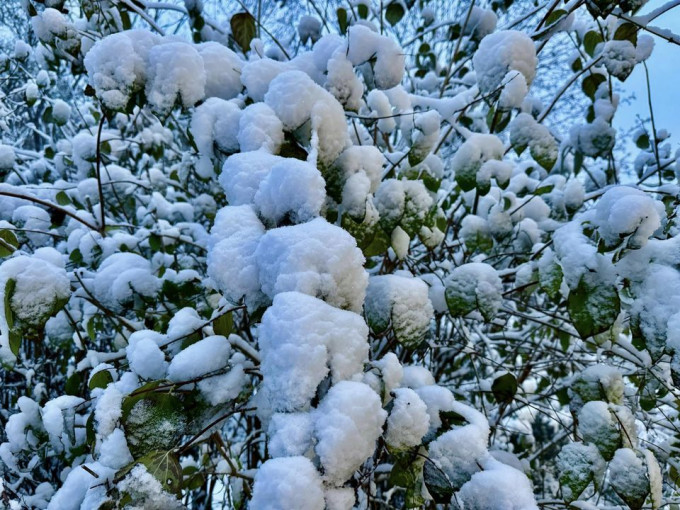 Tuyết dày hiếm thấy phủ trắng các thị trấn miền Đông Australia