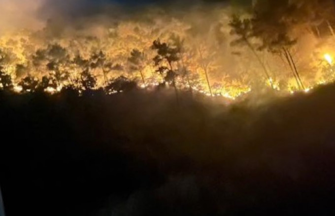 Cháy rừng hoành hành tại nhiều nước trên thế giới