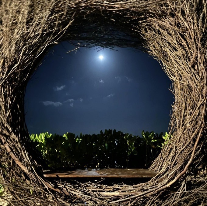 Ánh sáng ban đêm âm thầm tàn phá não bộ, tâm trạng và trao đổi chất