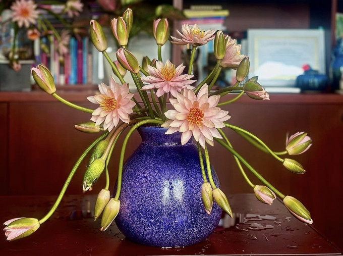 Bên đường năm cũ - Thơ  Lê Thanh Hùng