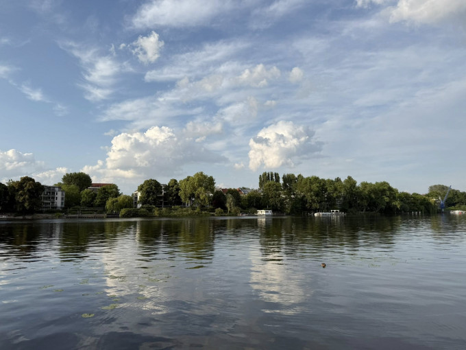 THÔNG BÁO: Vinh danh Cây Du Lớn 250 tuổi ở Treptower Park Berlin