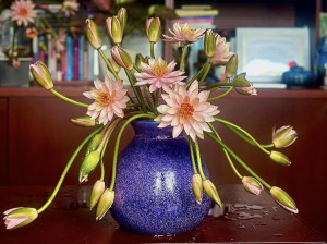 Bên đường năm cũ - Thơ  Lê Thanh Hùng