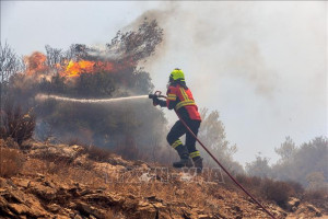 Những yếu tố thúc đẩy khủng hoảng cháy rừng châu Âu năm 2025