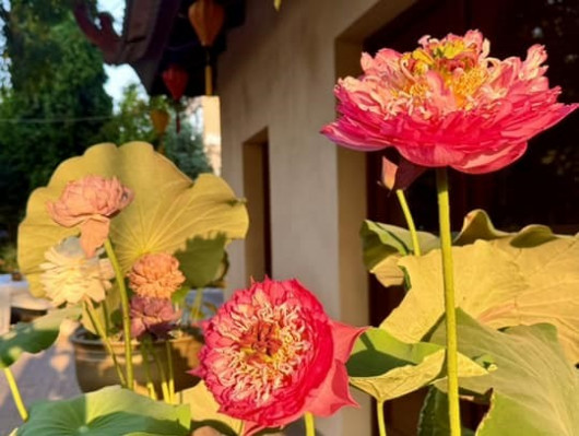 LUẬN VỀ NHÂN CÁCH VÀ TIỀN BẠC…