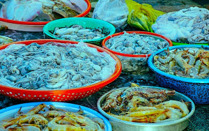 Hàn Quốc khuyến cáo tránh ăn hải sản sống vì vi khuẩn ‘ăn thịt người’