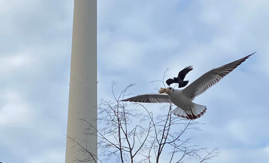 Sự kiện kinh tế thế giới nổi bật tuần qua