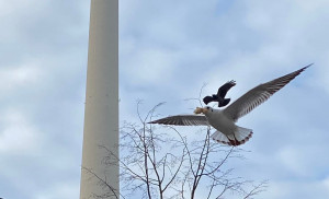 Sự kiện kinh tế thế giới nổi bật tuần qua