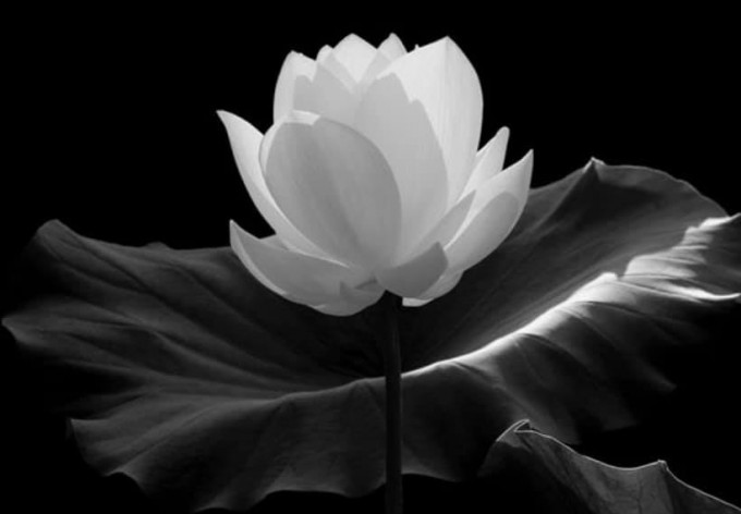 Chàng Trai Trẻ Kể Về Cuộc Chiến Sinh Tồn Tại Quán Bar Ở Thụy Sĩ (Khiến 47 người thiệt mạng và 119 người bị thương)