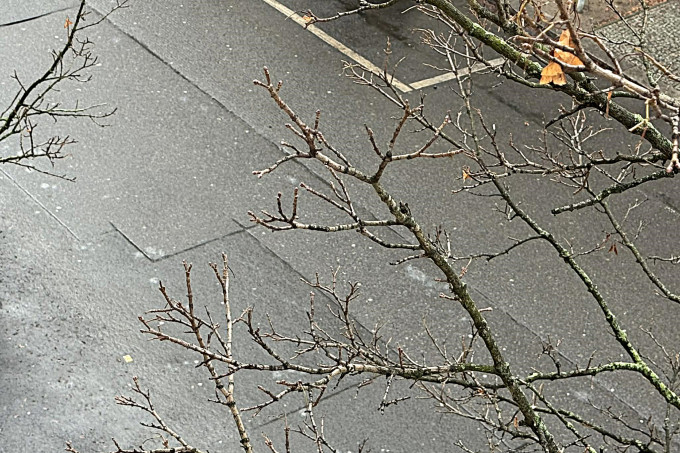 CẢNH BÁO TỪ DWD: Cẩn thận đường trơn ´Glätte´ tại Berlin và Brandenburg (15  16.1.2026)