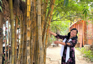 BAO GIỜ - Thơ Thi Minh Hong Luong CHLB Đức