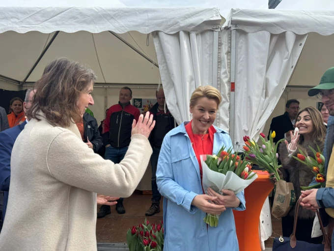 THAM DỰ LỄ HỘI HOA TUYLIP RỰC RỠ GIỮA LÒNG BERLIN