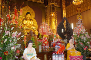 ALBUM: Dự lễ cúng Rằm tháng Giêng Bính Ngọ tại Chùa Linh Thứu Berlin