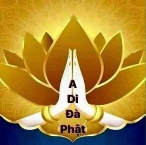 XE BUÝT BỐC CHÁY Ở THỤY SĨ: NHIỀU NGƯỜI THIỆT MẠNG TRONG VỤ TAI NẠN THẢM KHỐC