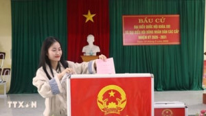 Bầu cử Quốc hội và Hội đồng Nhân dân: Tỷ lệ cử tri tham gia bỏ phiếu đạt 99,68%