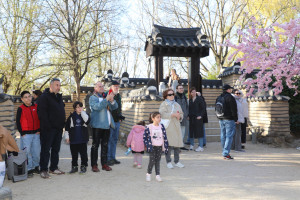 THÔNG BÁO: Lễ hội Hoa Anh Đào tại Vườn Thế giới (Gärten Welt) Berlin