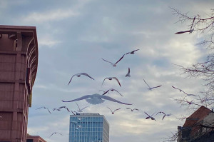 ĐỨC: Phát hiện “Ổ mại dâm bí mật” trong khách sạn tại Munich